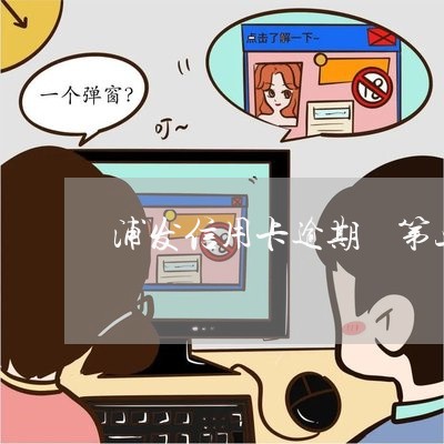 浦发信用卡逾期 第三方